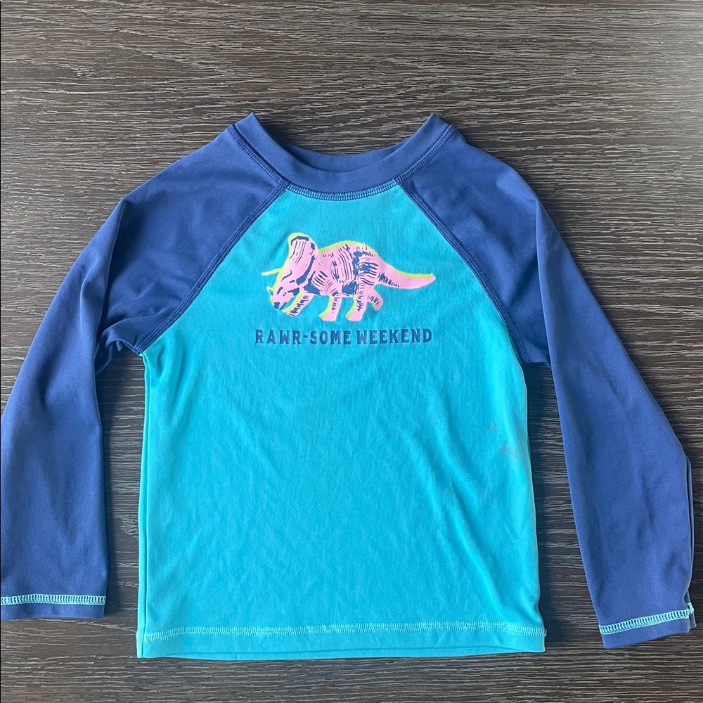 Chubbies Blue Dinosaur Graphic Long Sleeve Shirt